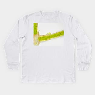 Plant cells under the microscope, showing chlorophyll content Kids Long Sleeve T-Shirt